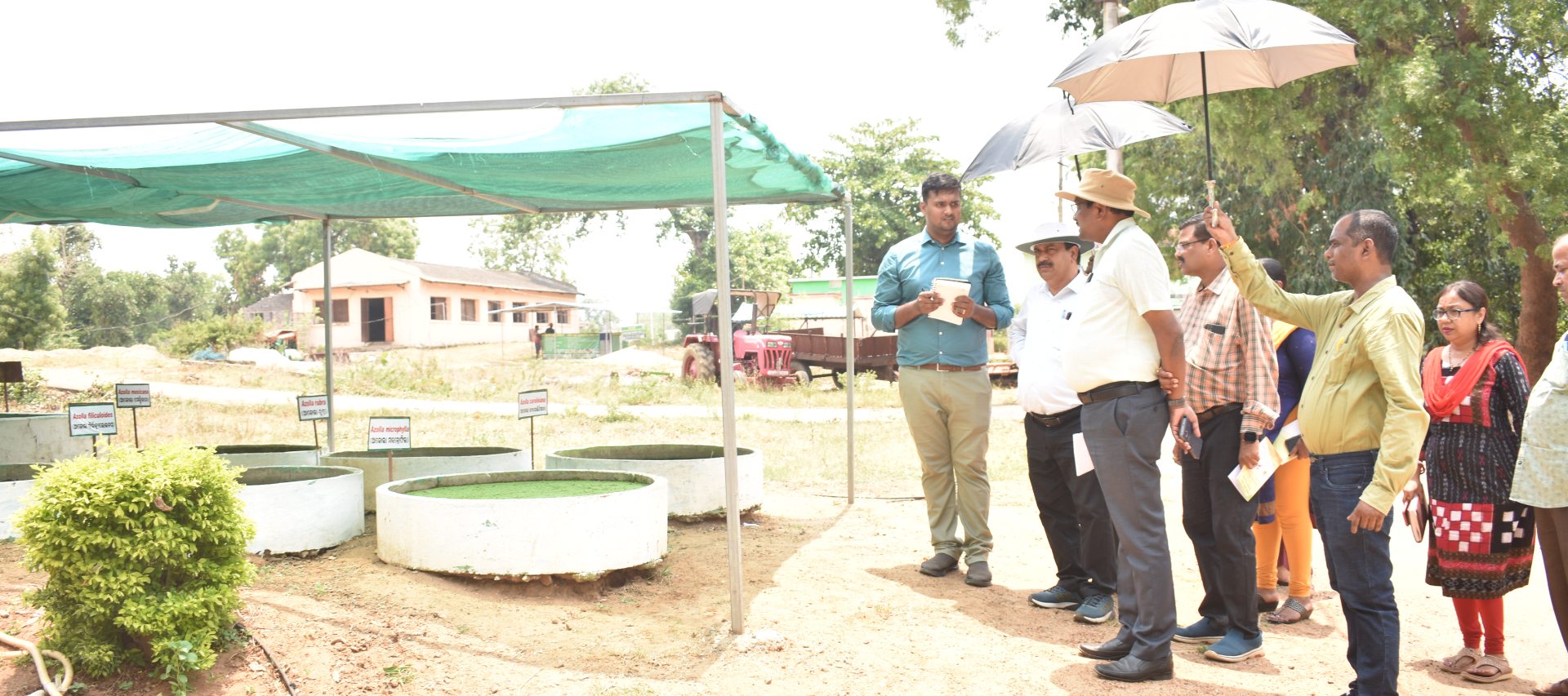 Krishi Vigyan Kendra, Sonepur