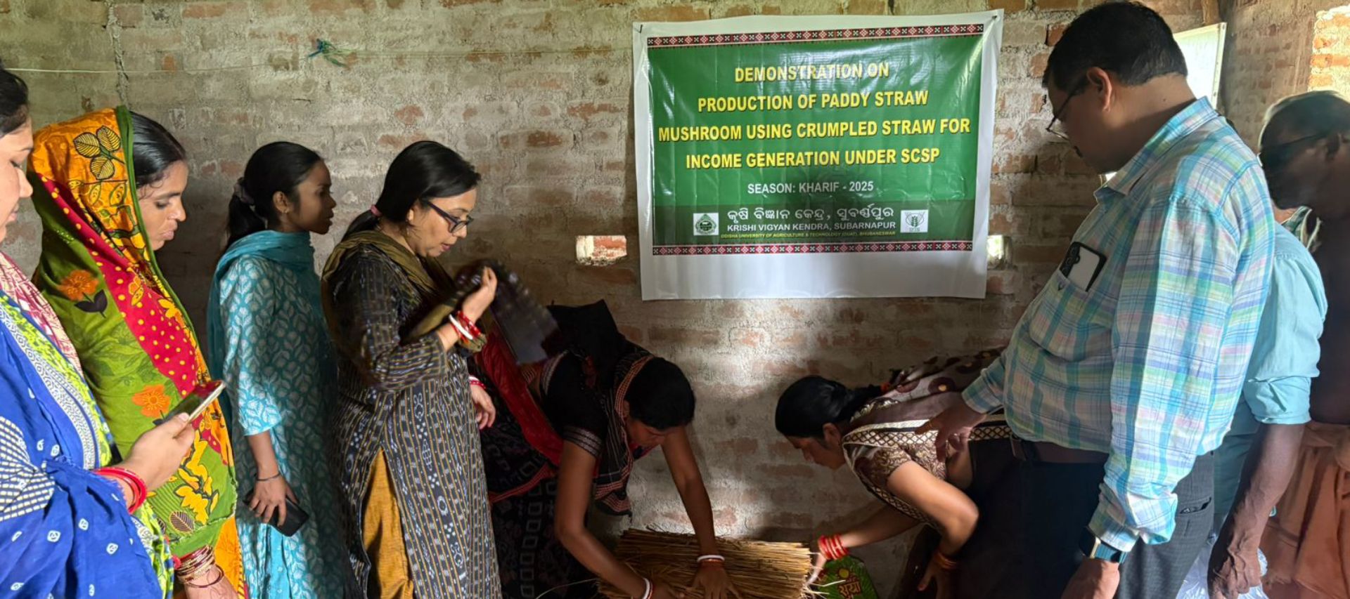 Krishi Vigyan Kendra, Sonepur